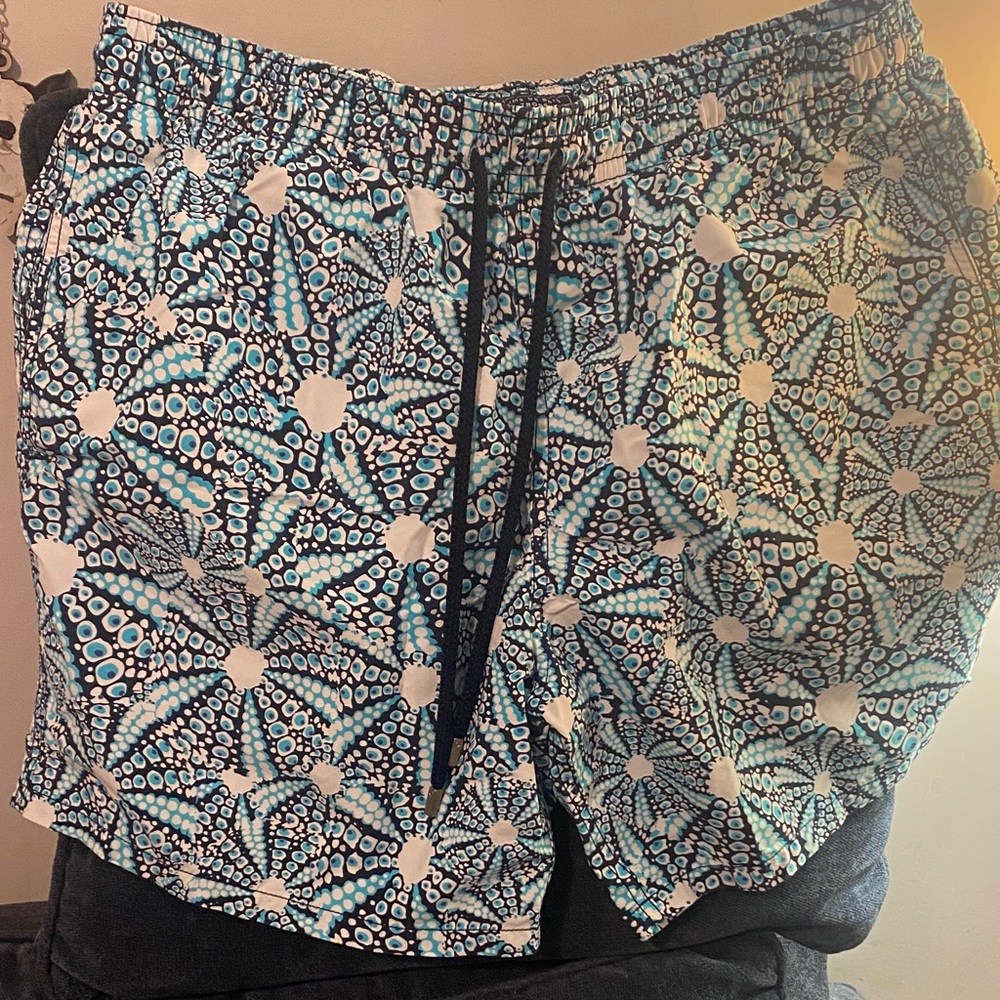 Vilebrequin Blue Patterned Men Swim Cargos